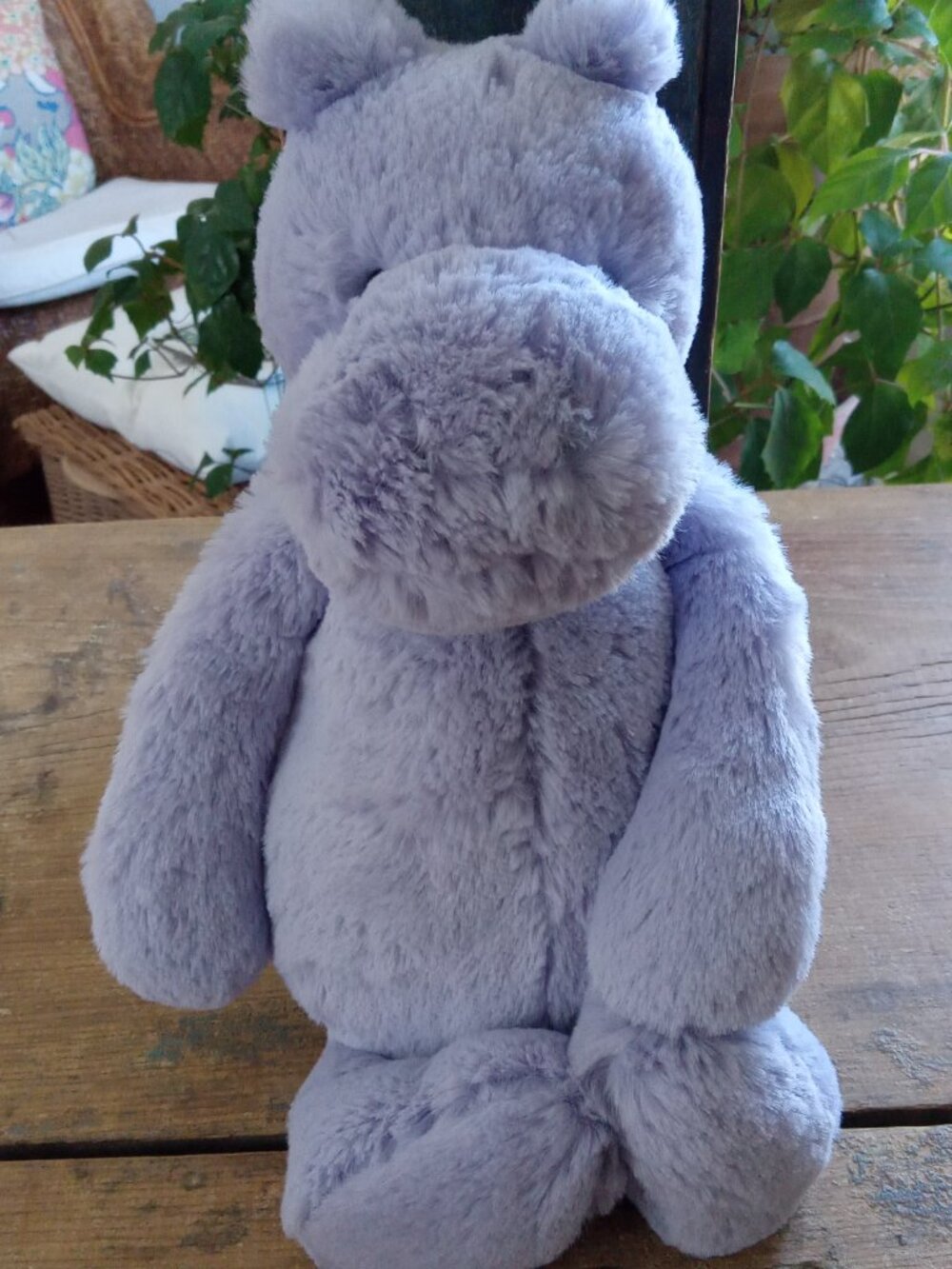 Jellycat Bashful Hippo.